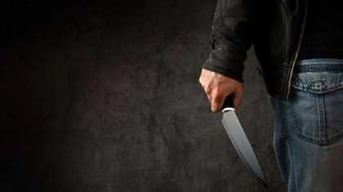 Un bărbat din Prunișor, înarmat cu un cuțit, a încercat să spargă ușa pentru a intra peste propria mamă