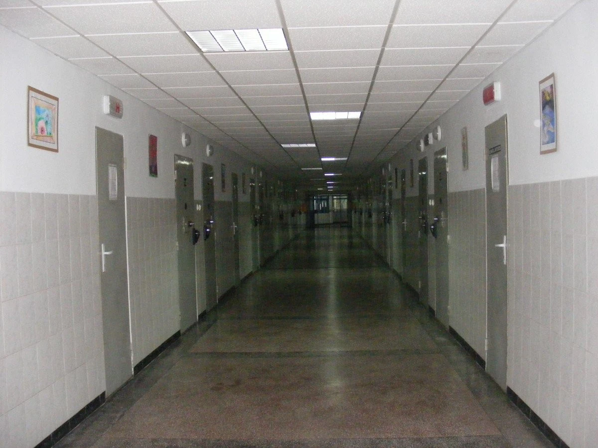 Un bărbat din Sintea Mare, încarcerat pentru doi ani și zece luni, pentru furt calificat