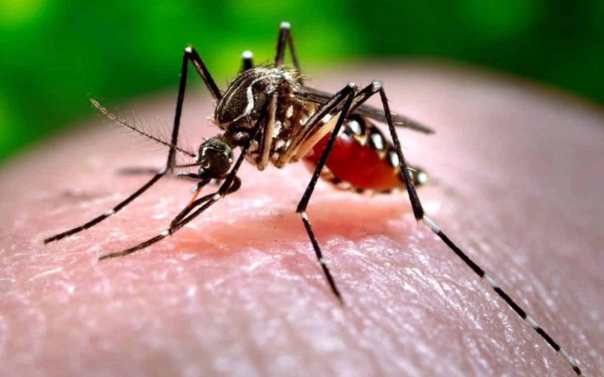 Un bărbat infectat cu virusul West Nile a murit la un spital din Vestul țării