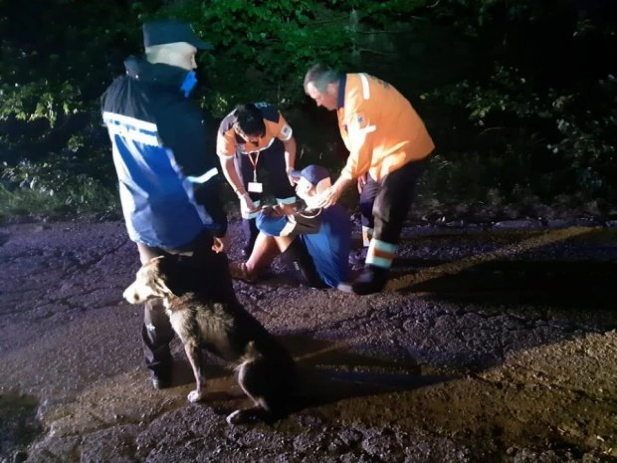 Un biciclist căzut în munți a fost salvat de câinele jandarmilor