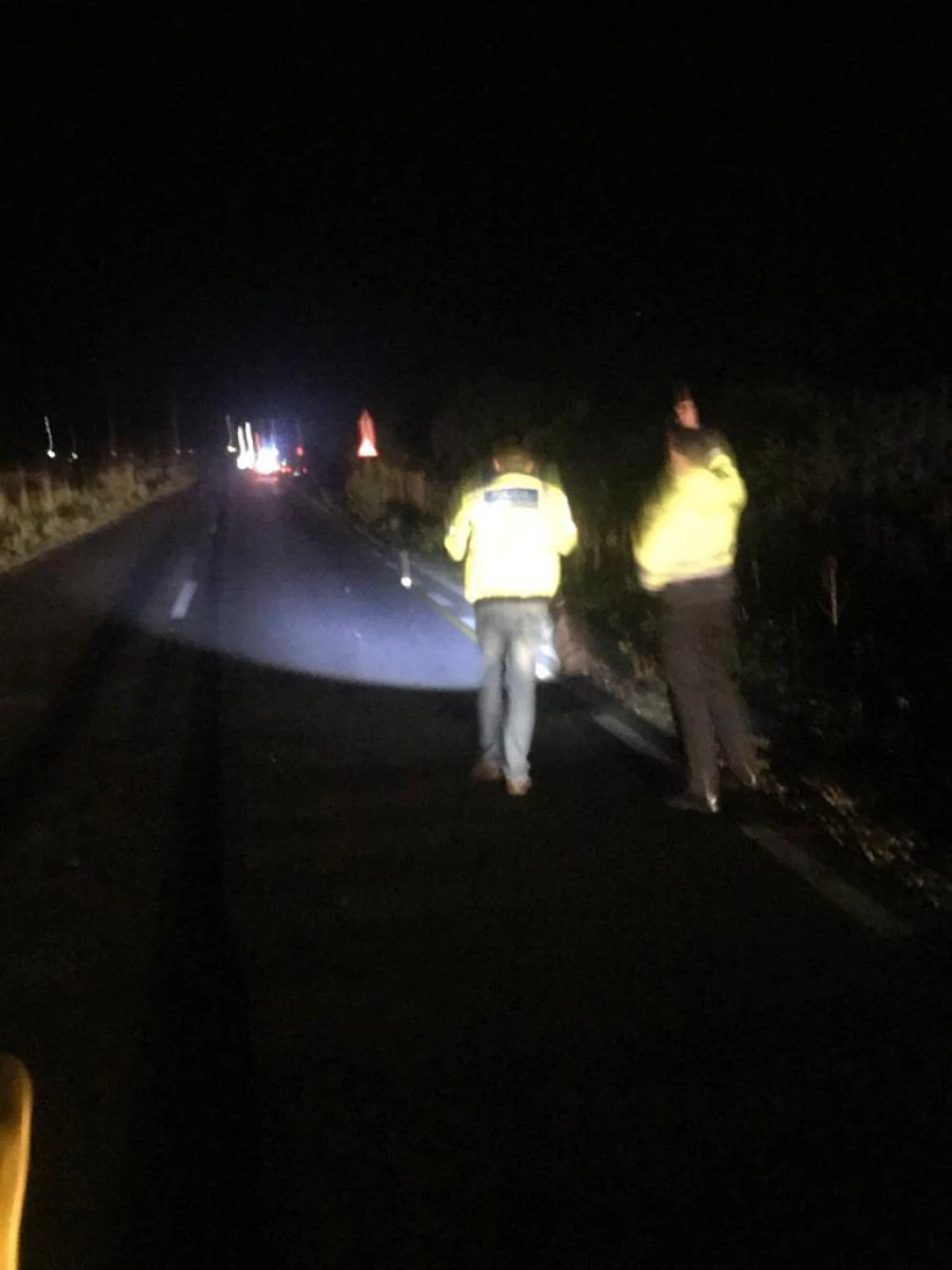 Un bihorean de 50 de ani, accidentat mortal de un șofer din Ineu