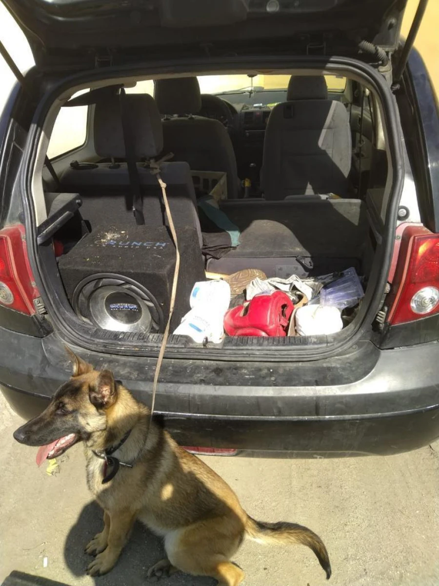 Un câine a stat închis două zile într-o mașină, în centrul Aradului