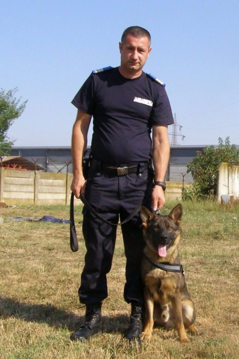 UN CAINE CIOBANESC GERMAN A INTRAT IN RANDURILE JANDARMERIEI ARADENE