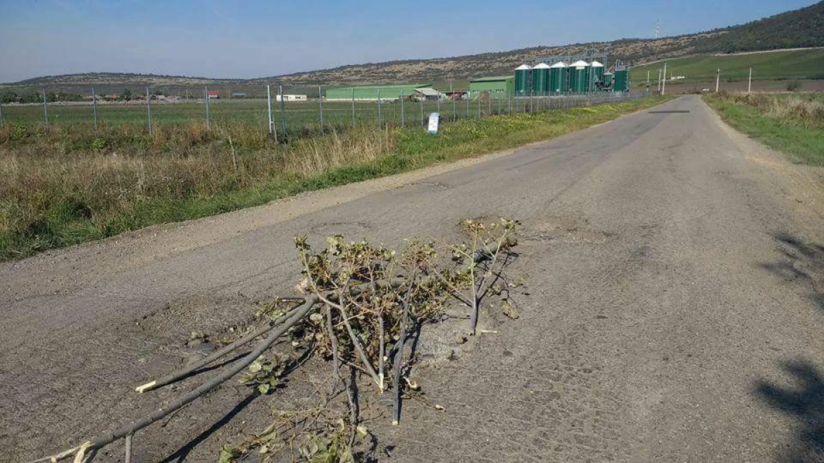 Un drum judeţean, reabilitat în primăvară, este plin de gropi