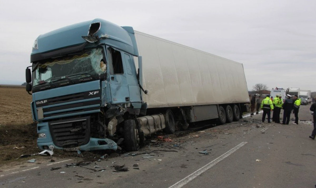 Un fazan a provocat un accident între Chişineu-Criş şi Zerind