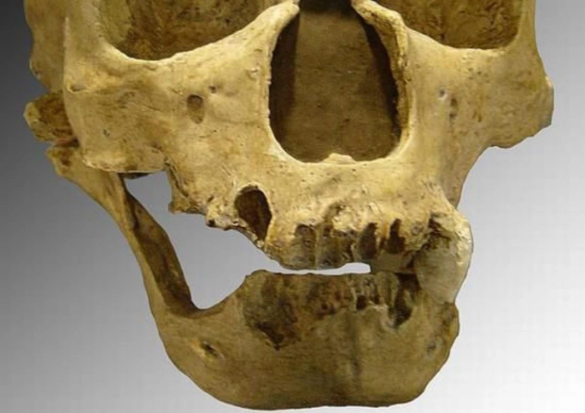 UN MAXILAR UMAN DESCOPERIT IN ROMANIA, LA BAZA UNUI STUDIU IMPORTANT DESPRE OMUL DE NEANDERTHAL