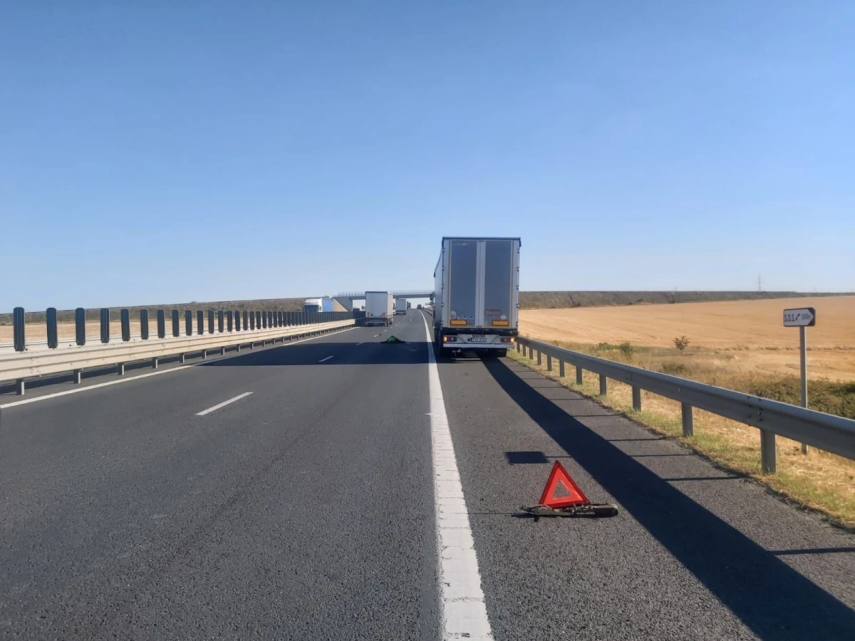 Un polonez de 53 de ani și-a găsit sfârșitul pe A1, la Șagu, în urma unui accident cumplit