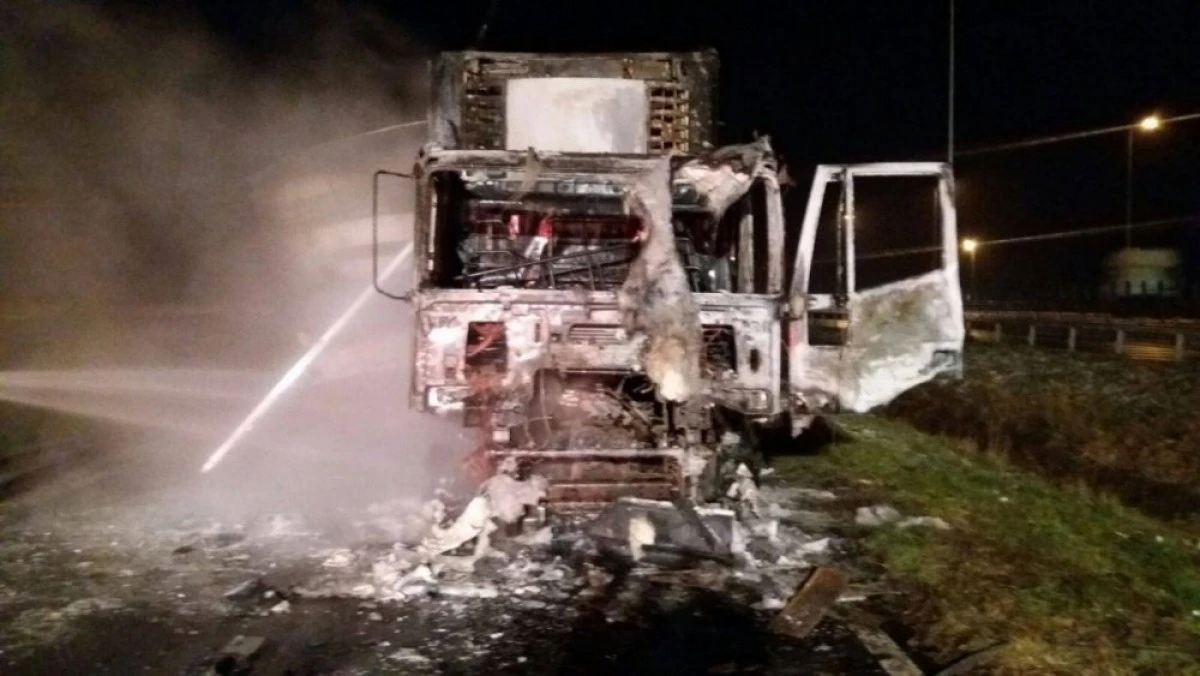 Un TIR încărcat cu alimente a luat foc pe autostradă (FOTO)