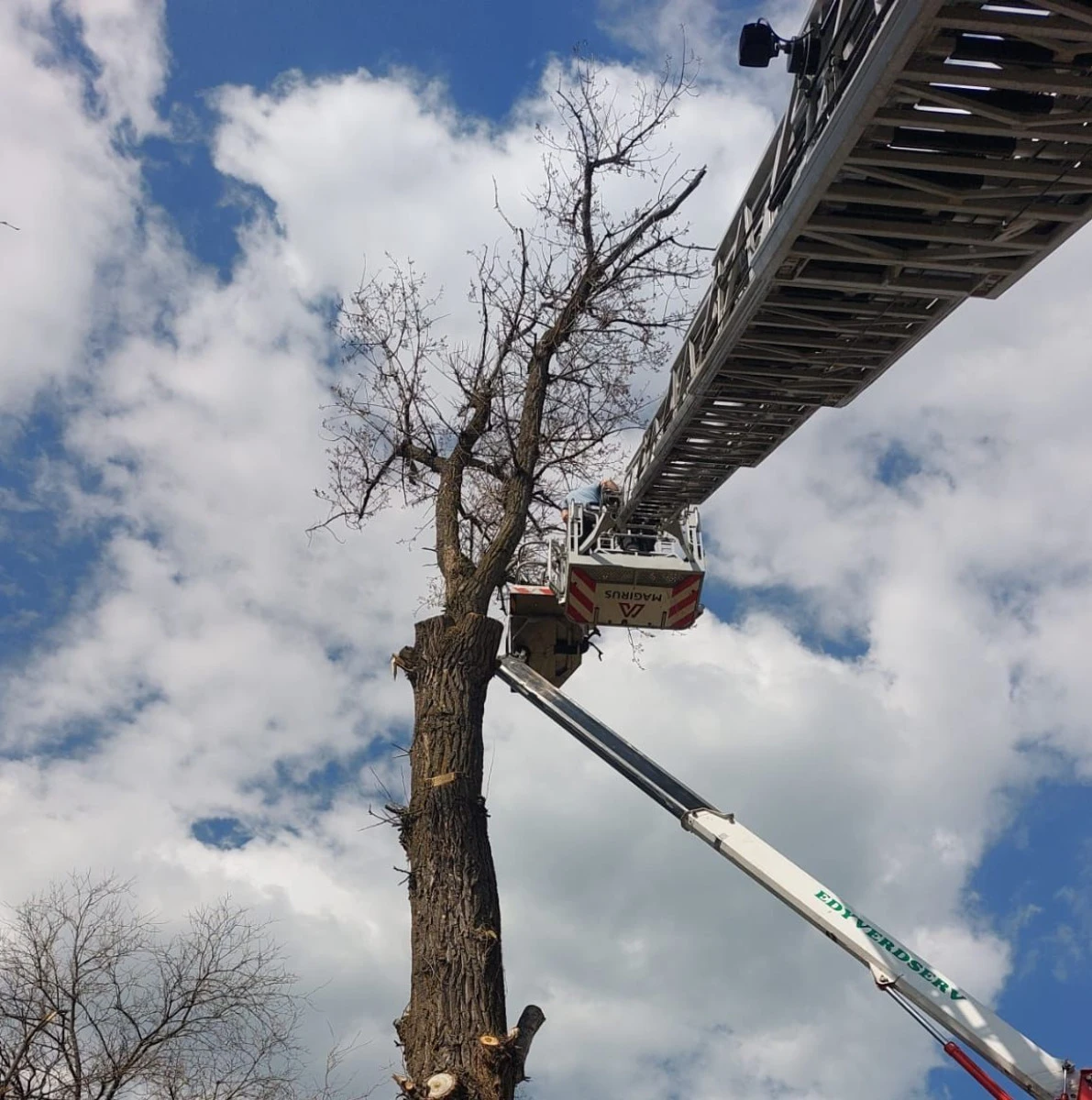 (UPDATE) Pompierii intervin pentru salvarea unui arădean blocat într-o nacelă, la o înălțime de 20 de metri