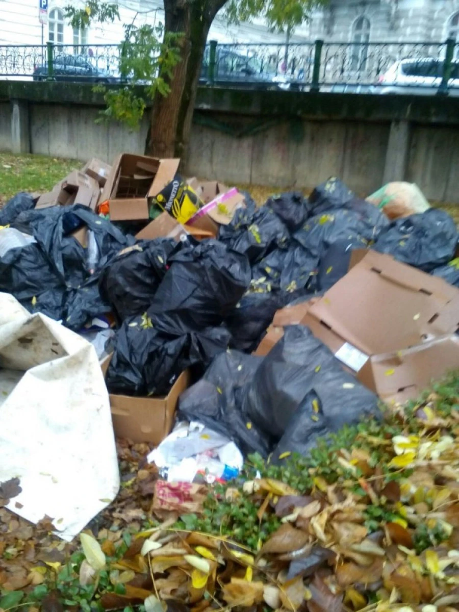 USR Arad: Arădenii sesizează mizeria din parcul Eminescu la Biroul Cetățeanului