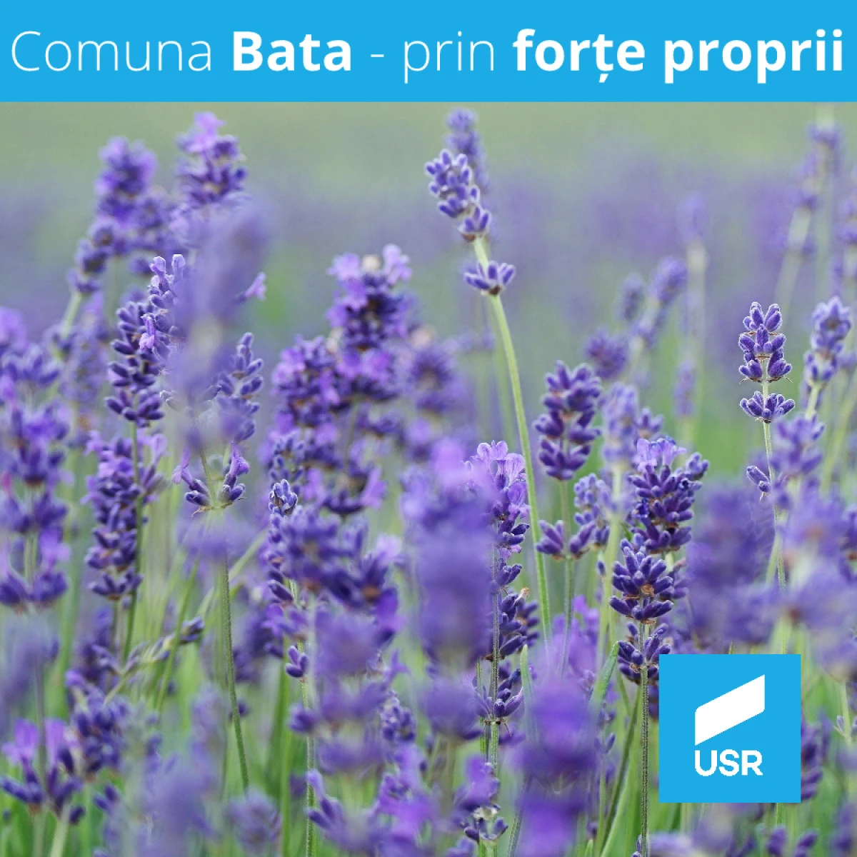 USR Bata: Comuna poate să crească prin forțe proprii