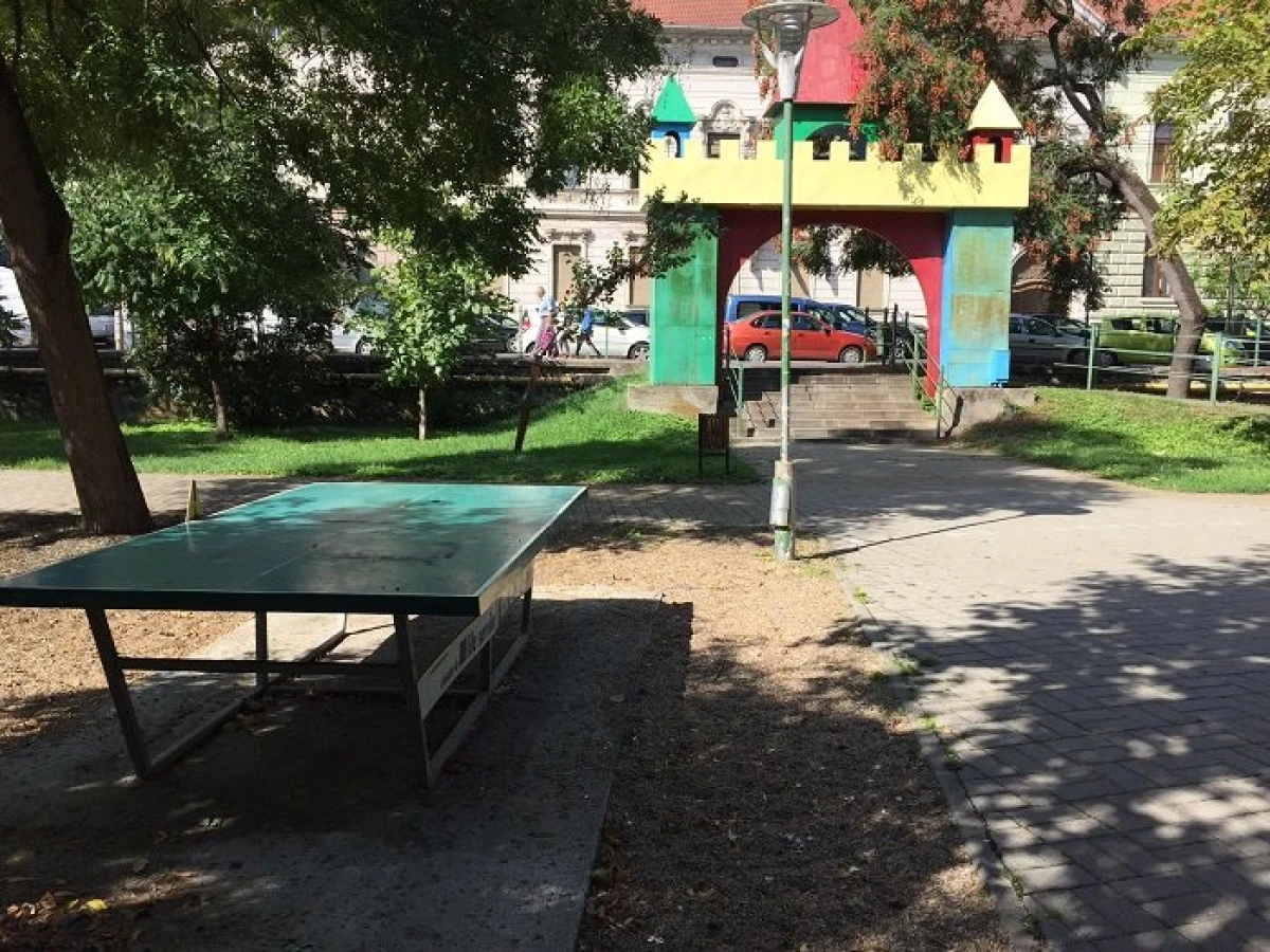 USR cere amendarea primarului pentru dezastrul din parcurile arădene