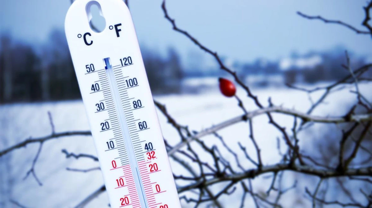 Valul de aer polar a ajuns în România și va persista toată săptămâna