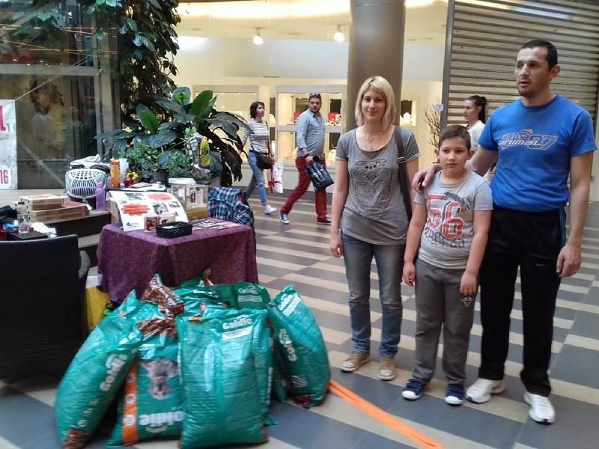 ”VATRA ARĂDEANĂ” A DONAT MÂNCARE PENTRU CÂINI