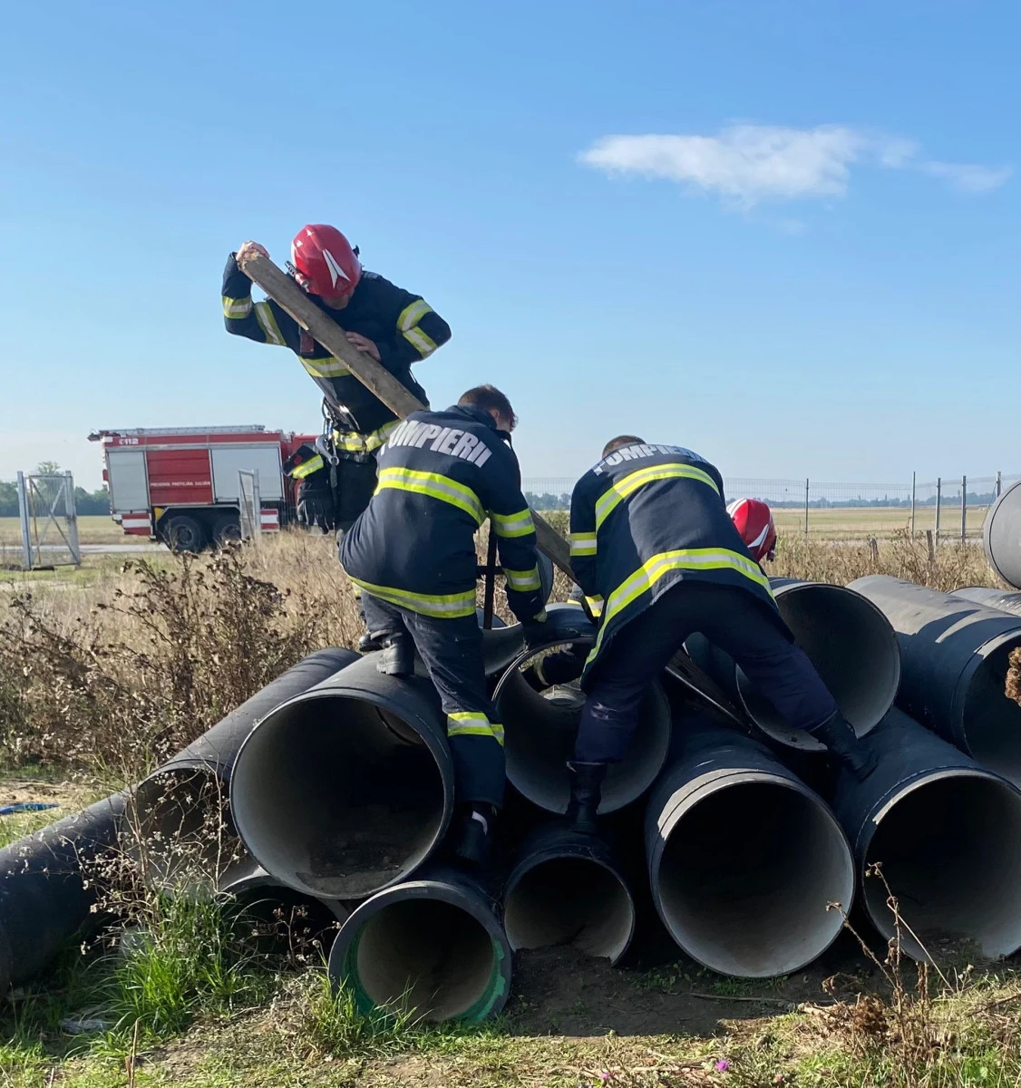 Viața unui cățel s-ar fi putut sfârși în chinuri fără intervenția pompierilor arădeni