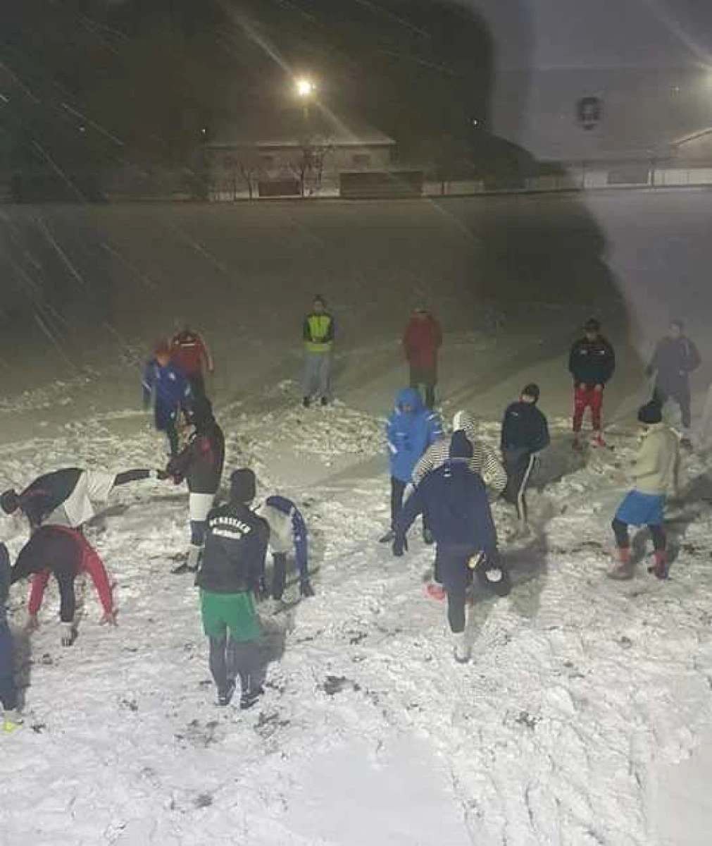 Victoria Felnac s-a reunit cu o serie de noutăţi în lot
