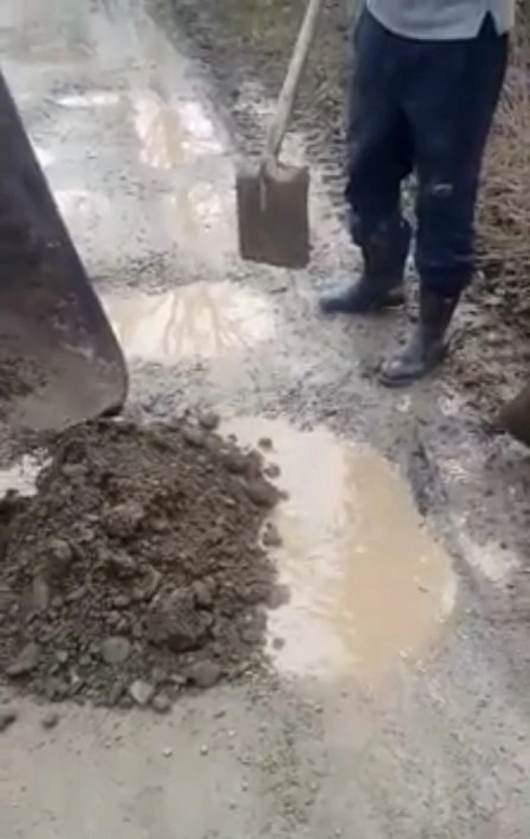 (VIDEO) Arădenii fac munca CJA și repară drumurile din județ