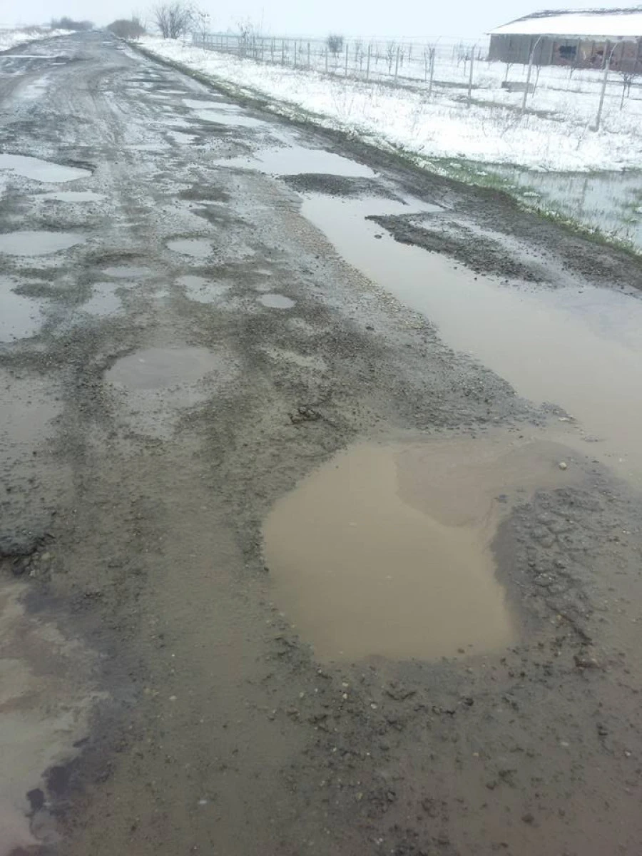 (VIDEO) Drumul groazei leagă Aradul secolului XX de Timișul secolului XXI