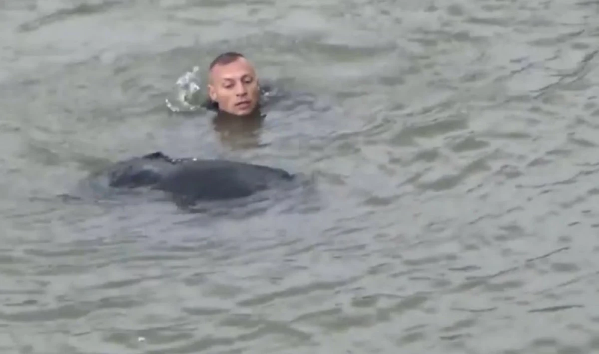 (VIDEO) O femeie a fost salvată de jandarmi, după ce s-a aruncat în Mureș