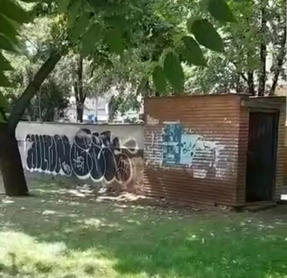 (VIDEO) Strategie turistică sau impotență administrativă: menajerie cu șobolani, în plin centrul Aradului!