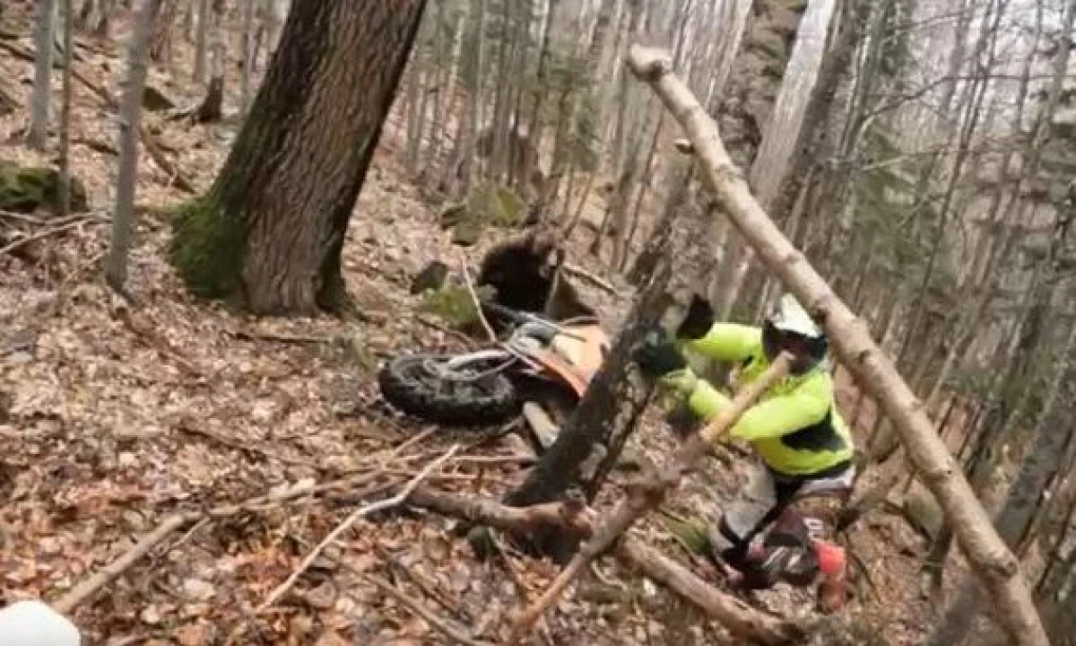 (VIDEO) Un urs surprins în bârlog a încercat să atace un motociclist enduro