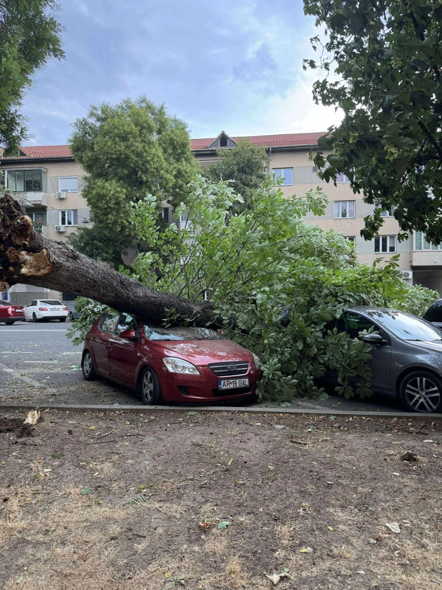 Vijelia a făcut ravagii în Arad. Zeci de intervenții ale pompierilor, în municipiu și județ