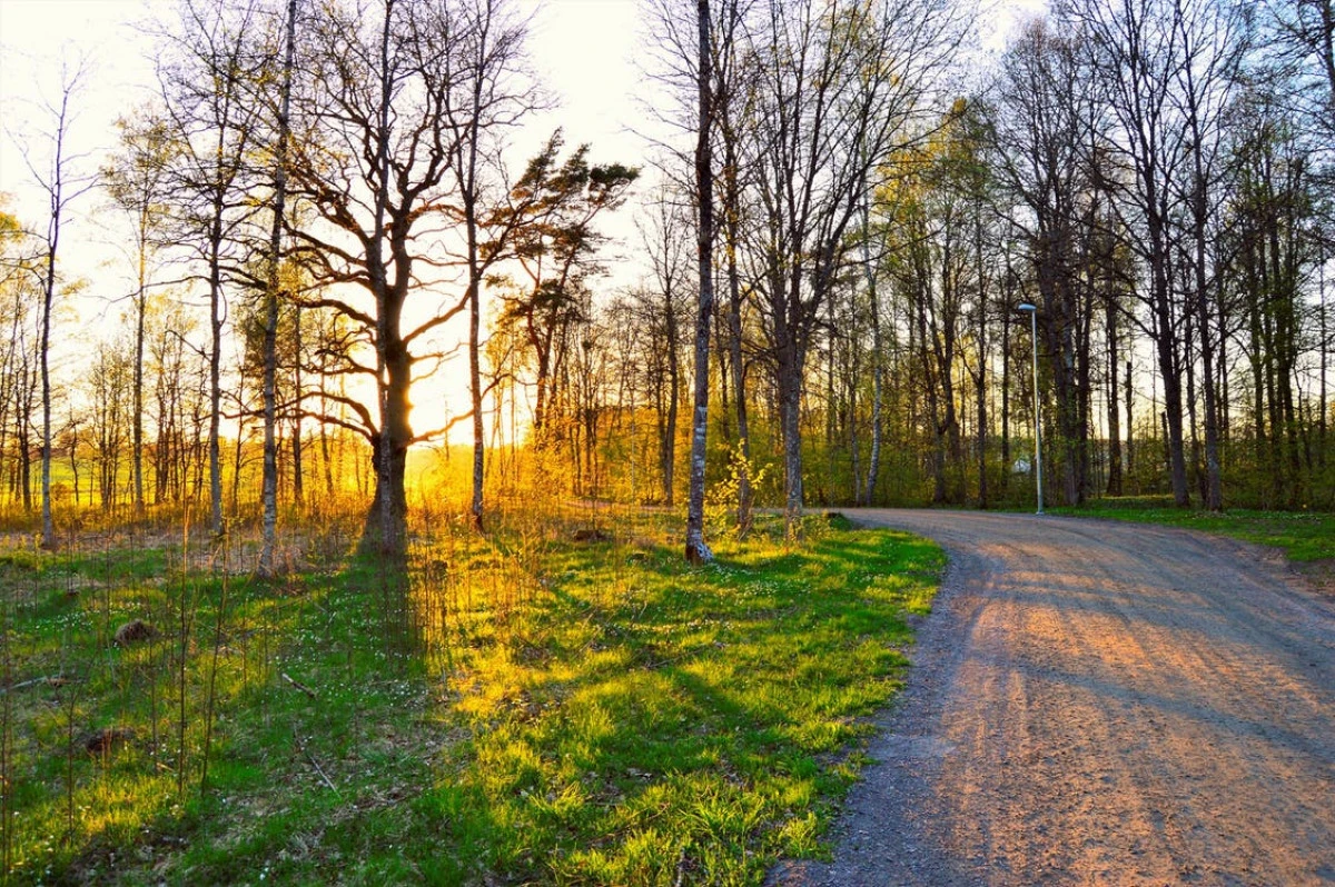 Vine primăvara în România! Vom avea și temperaturi de 20 de grade