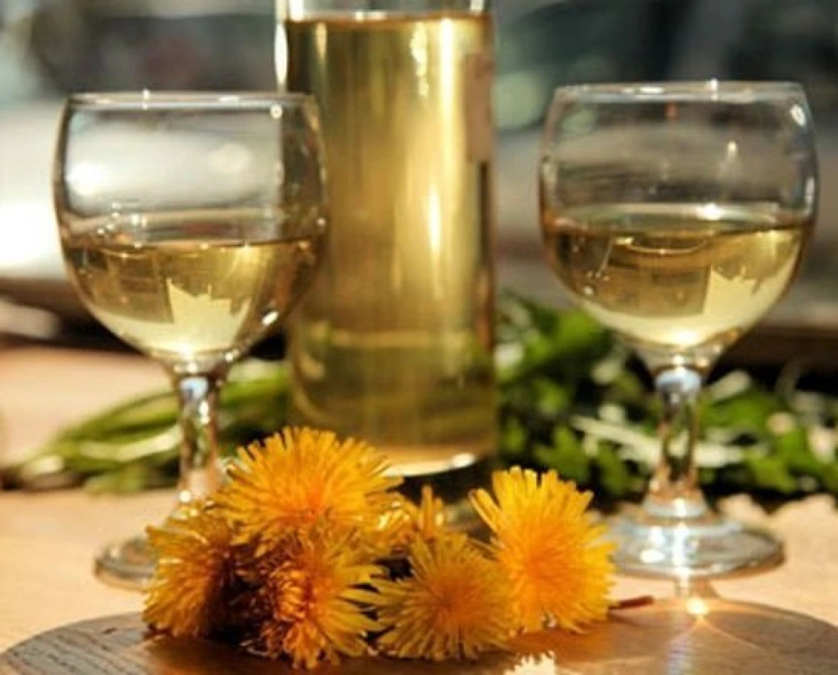 Vinul de păpădie, un tonic excelent