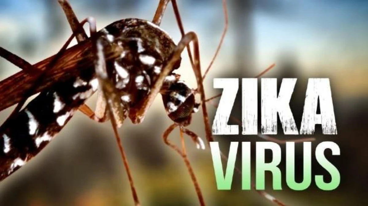 VIRUSUL ZIKA, CONFIRMAT ÎN ROMÂNIA