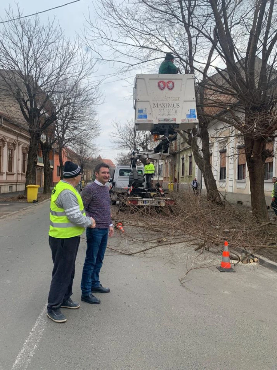Vrei să-ți facă primăria curat în fața blocului? Fă o cerere la PNL Arad și se rezolvă