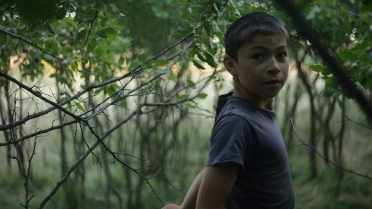 Wild Berries – cel mai bun documentar Aristoteles Workshop 2017