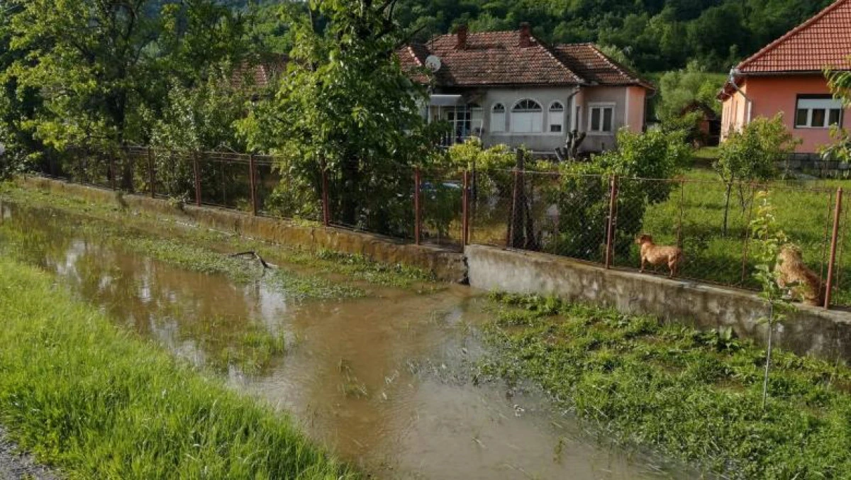 Zeci de gospodării din zona Sebiş-Moneasa, inundate în urma unor ploi torențiale