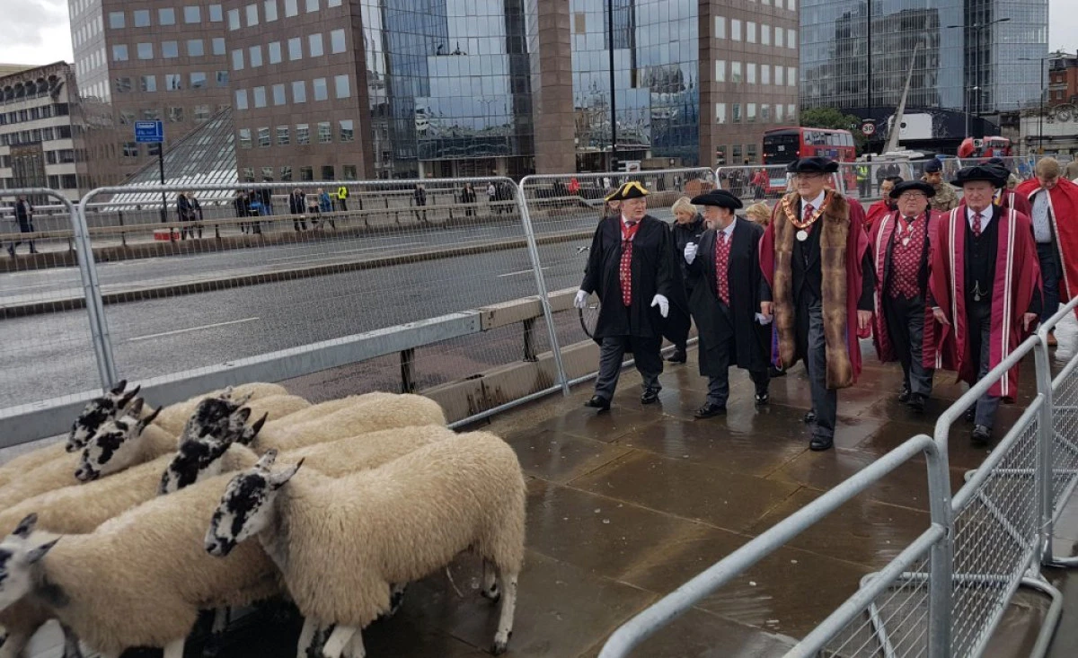 Ziua Oilor, la Londra. Mai multe turme au traversat centrul oraşului