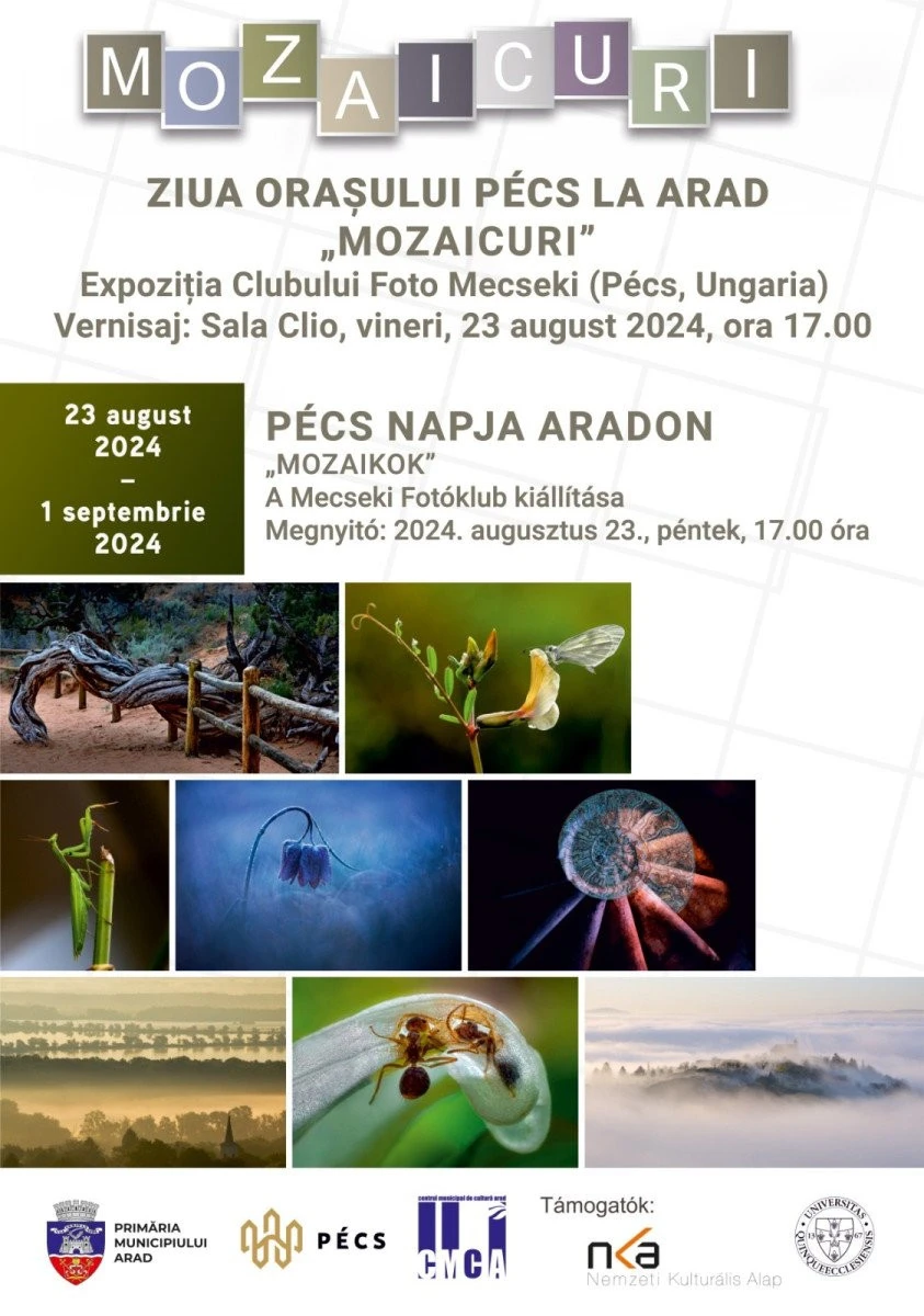 Ziua Orașului Pécs la Arad va fi sărbătorită în 23 august