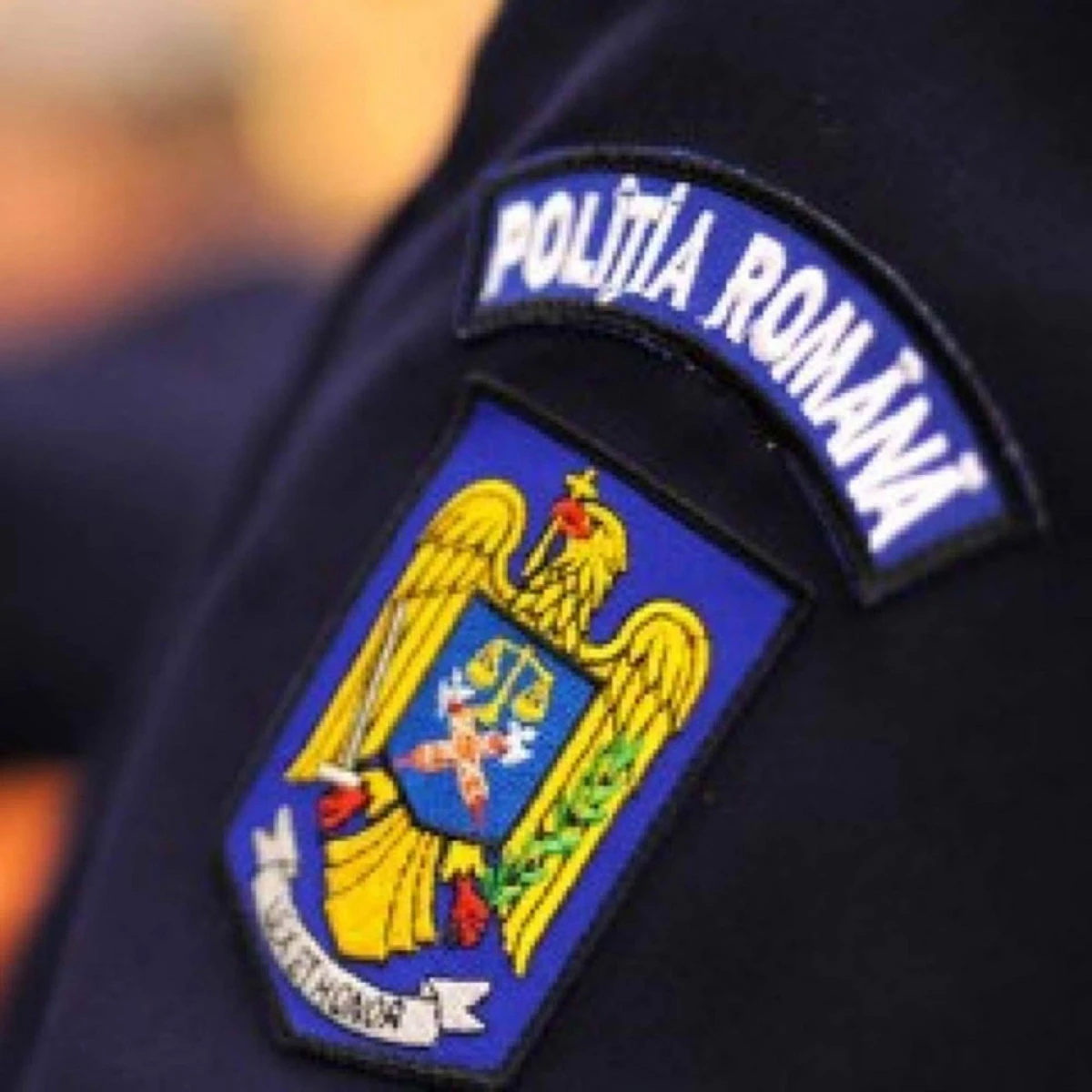 Ziua Poliției Române se va sărbători alături de arădeni, în centrul municipiului