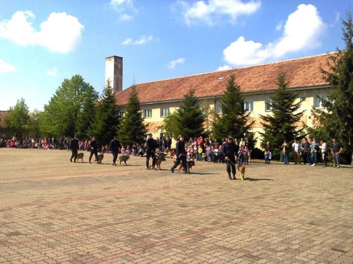 ZIUA PORŢILOR DESCHISE, LA INSPECTORATUL DE JANDARMI ARAD