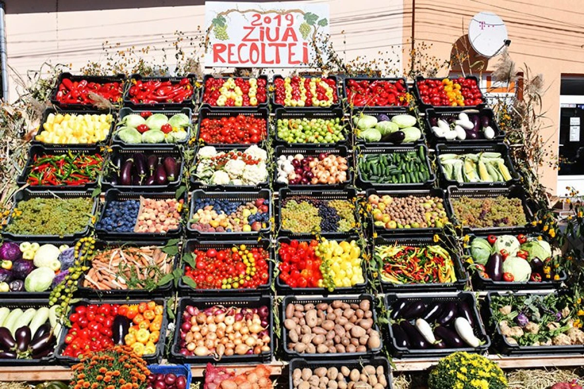 Ziua Recoltei la Consiliul Județean