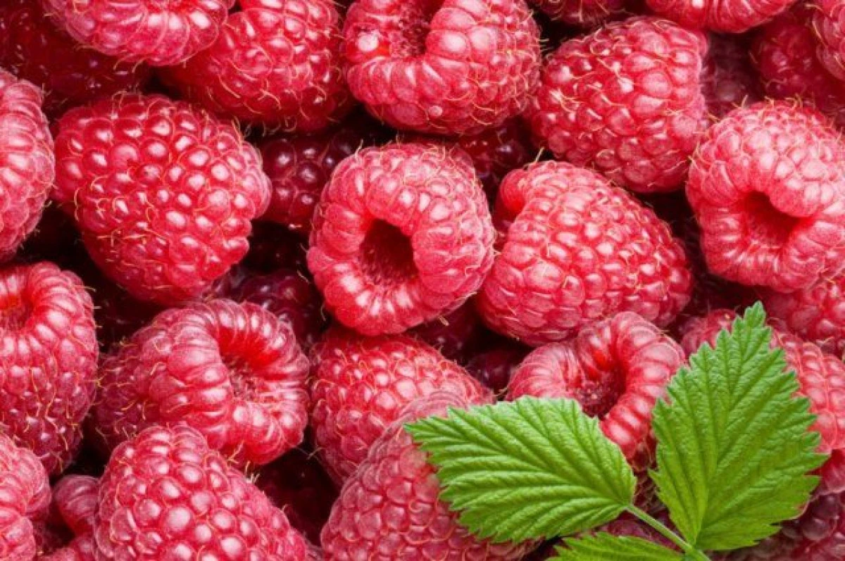 ZMEURA, IN TOP 10 FRUCTE EXOTICE CARE TE AJUTA SA SLABESTI