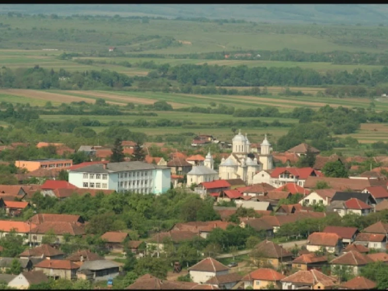 Alertă la Gurahonț după ce un vițel a fost găsit mort. Suspiciuni că a fost atacat de un animal sălbatic de talie mare