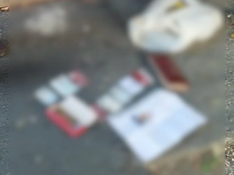 Bărbat reținut după ce a furat genți cu bani și carduri de la angajați ai stației CFR Arad