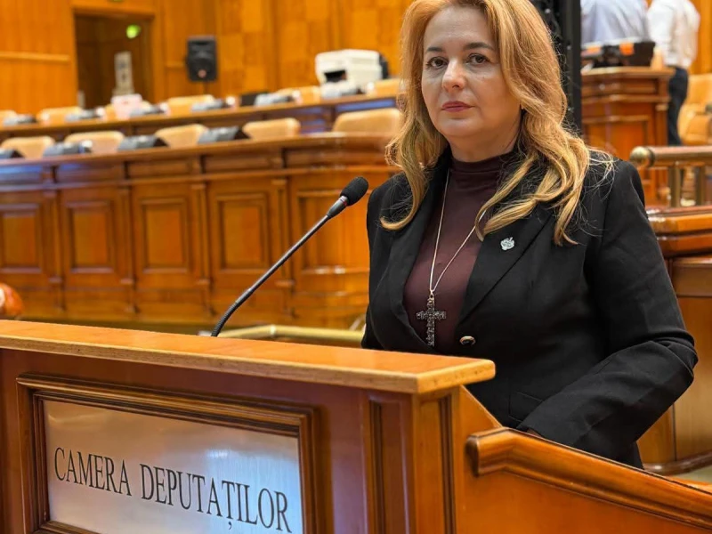Deputat Geanina Pistru-Popa: „Rectificarea bugetară trebuie adoptată cel târziu săptămâna viitoare!”