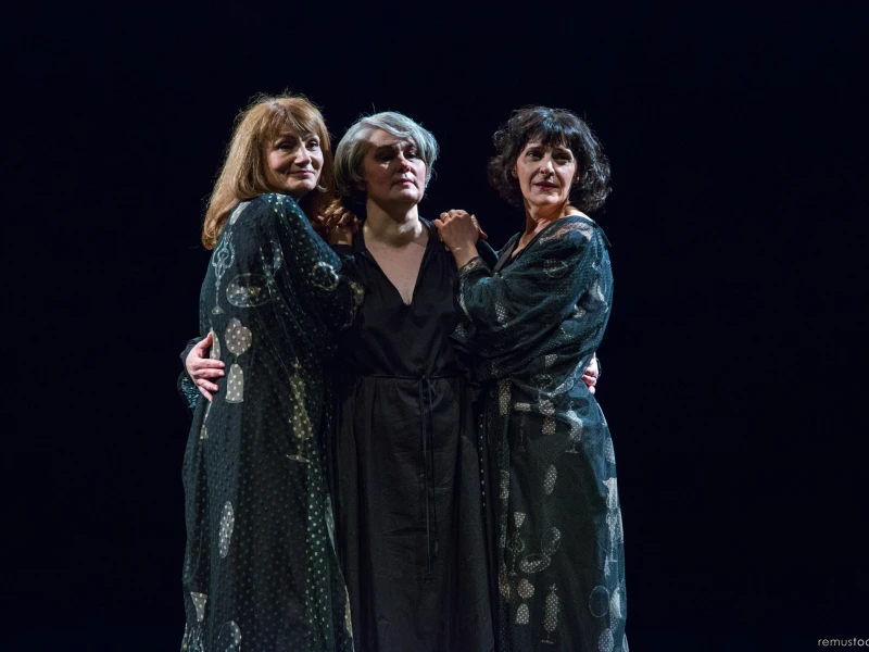Festivalul Internațional de Teatru Nou – Arad 2026 debutează cu o zi-maraton dedicată dramaturgiei contemporane
