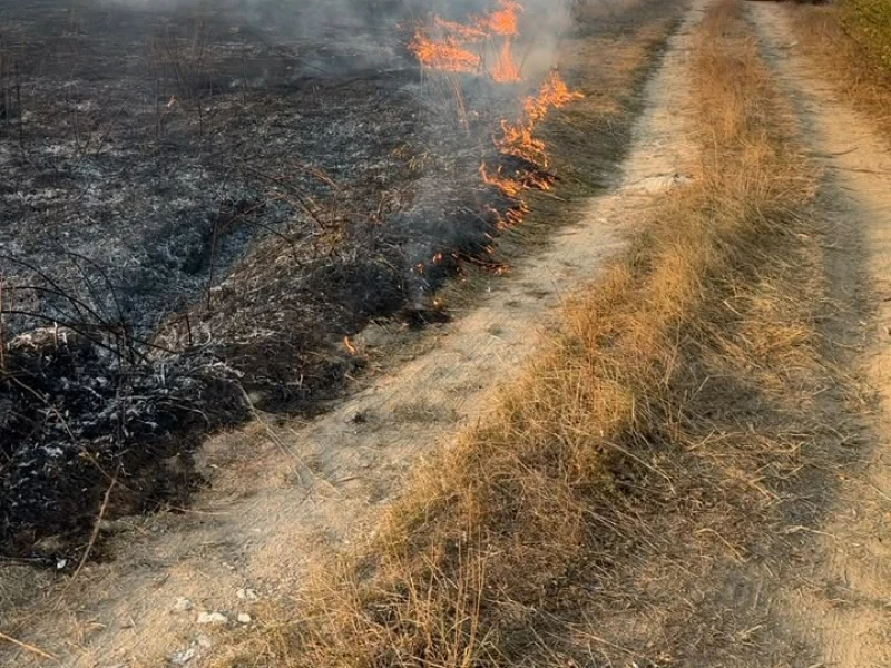 Incendiu de proporții între Gurahonț și Almaș: 200 de hectare de vegetație și pășune împădurită, mistuite de flăcări