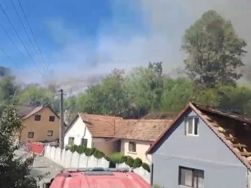 Incendiu de vegetație pe 10 hectare, în localitatea Bârzava