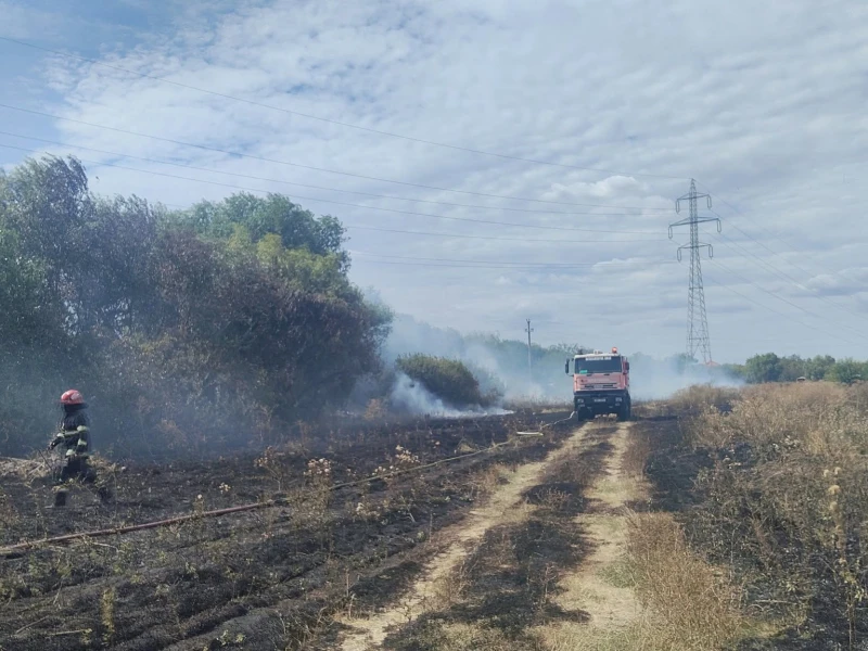 Incendiu de vegetație uscată în zona Câmpul Liniștii din Arad. Focul s-a apropiat de locuințe