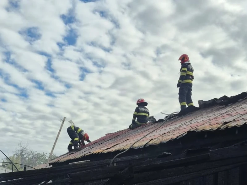 Incendiu la o anexă gospodărească din Sântana