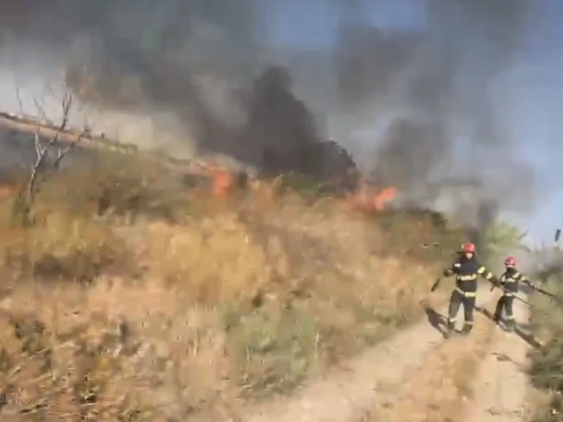 Incendiu violent în Arad, pe strada Cometei. Trei hectare de vegetație și deșeuri au ars, iar focul amenința mai multe gospodării