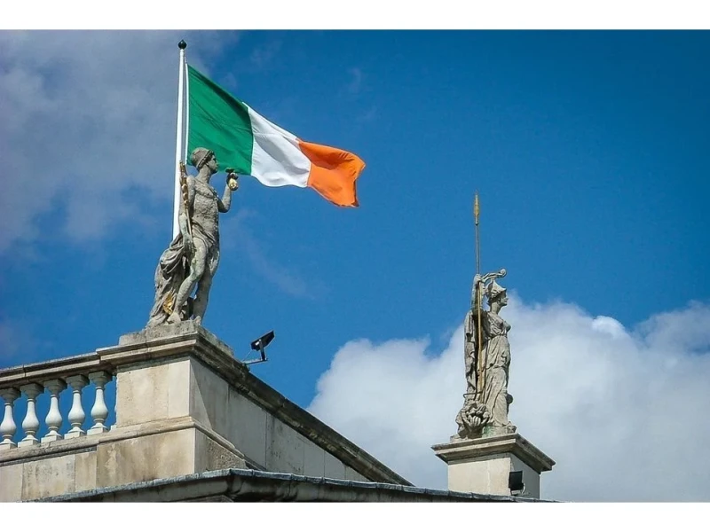 Irlanda a expulzat 24 de români condamnați pentru infracțiuni. Au interdicții de revenire de până la 10 ani