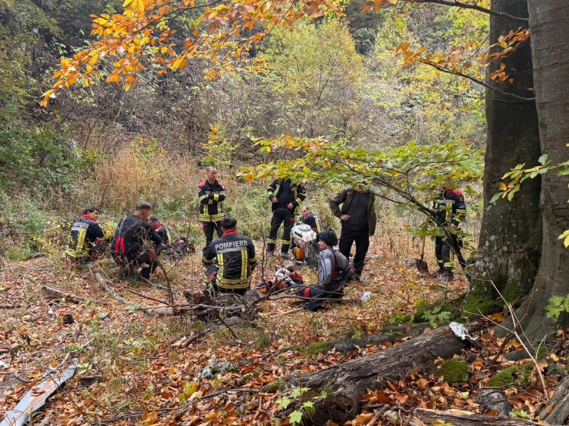 Pompierii arădeni continuă misiunile de stingere a incendiilor din Parcul Național Domogled - Valea Cernei