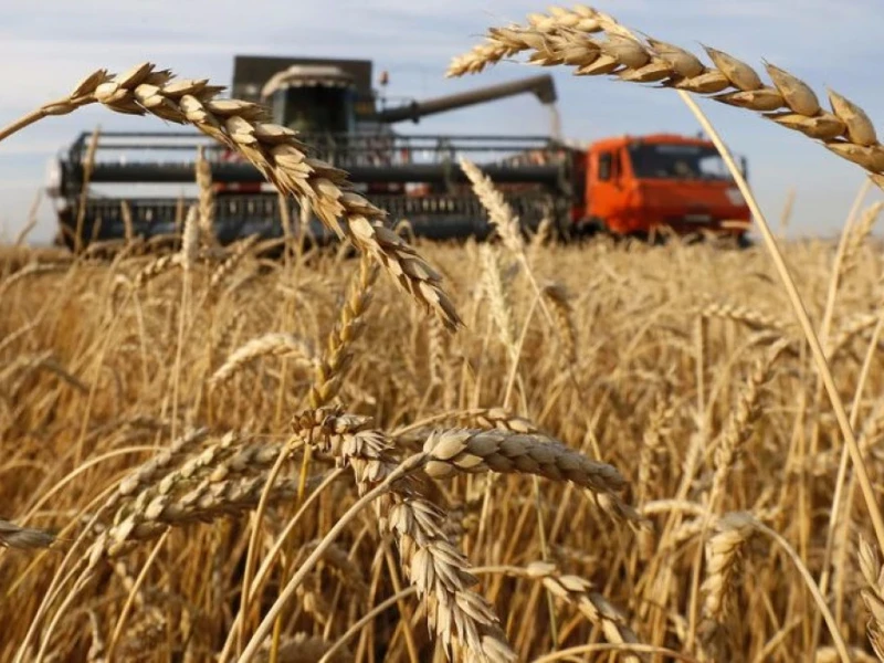 Prețurile mondiale la alimente ar putea crește cu aproape 12% în 2026. Grâul și pâinea, printre cele mai afectate